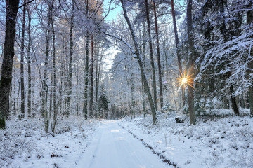 zimowy krajobraz Warmii-Polska