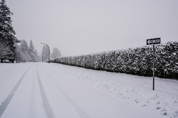 Snowy one way road with long green hedge in snow on the side