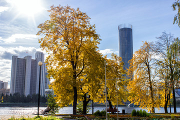 Yellow autumn trees on the shore of the city pond. Ekaterinburg. Russia