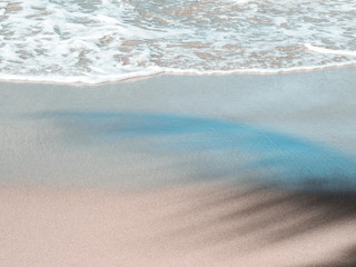 sandy beach of the atlantic ocean. view of the wave of sand and the shadow of a palm tree