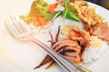 Breakfast stir fried squid with mixed vegetable carrot mushroom and broccoli on rice white plate