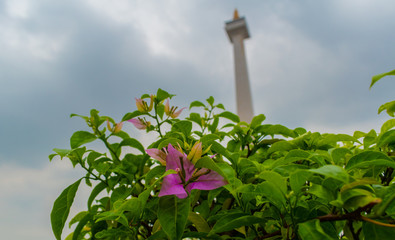 Monas Jakarta, Indonesia National Monument