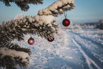 Beautiful Christmas toys hang on a snowy fir