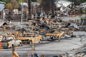 Crying into the Viewfinder: One Month After the 2017 Sonoma County Wildfires