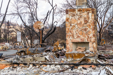 Crying into the Viewfinder: One Month After the 2017 Sonoma County Wildfires