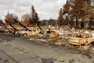 Crying into the Viewfinder: One Month After the 2017 Sonoma County Wildfires