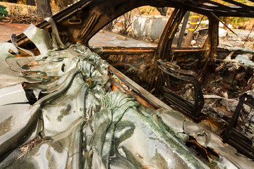 Crying into the Viewfinder: One Month After the 2017 Sonoma County Wildfires