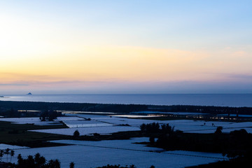 新年　朝日　日の出　霧　薄い