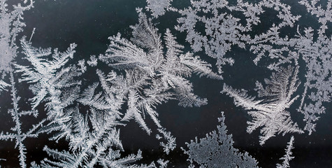 winter fairy forest, frosty patterns on the window glass