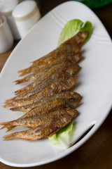 goatfish