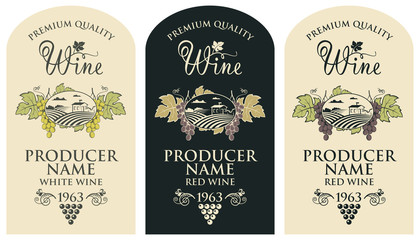 collection of vintage labels for wine bottles with grapes