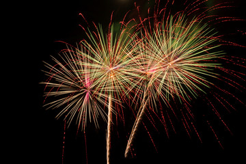 Fototapeta premium Beautiful firework on black background