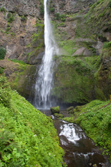 waterfall in the forest