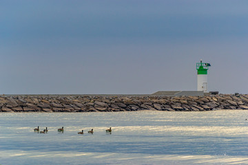 lighthouse water and ducks