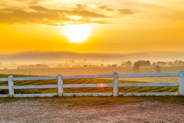 A beautiful sunset at Chui Fong tea plantation, Chiang Rai, Thailand