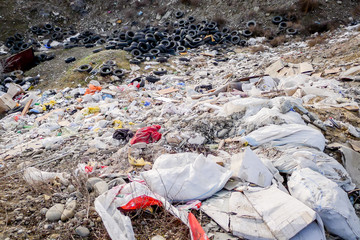 Garbage dump near the forest. Environmental pollution. Trash dump.