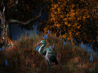 Heron in the swamps