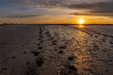 sonnenuntergang in der Camargue in Südfrankreich / Winter