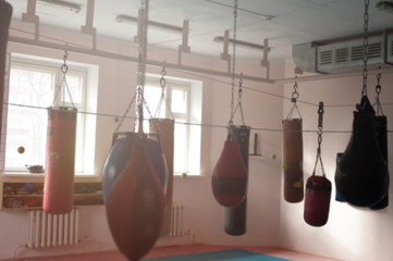 Punching bags of different shapes and colours hanging on the ceiling on chains. Many punching bag in the gym sports club on the background of windows