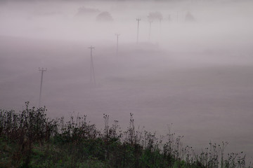 The fog covered the field, the poles stick out. A misty landscape in the early morning.