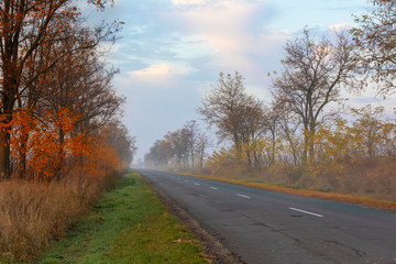 misty road in morning in Hortobagy National Park, Hungary, puszta is famous ecosystems in Europe and UNESCO World Heritage Site