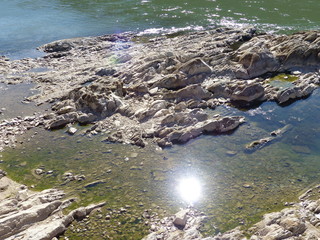 Felsen im Rhein bei Niedrigwasser Teil 1