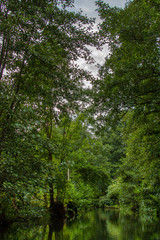 Obraz premium Spreewald