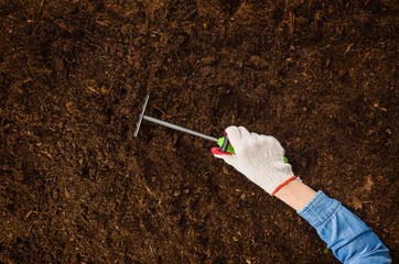 Woman hand planting a plant on a natural, soil backgroud. Camera from above, top view. Natural background for advertisements.