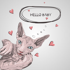cat breed Sphynx face sketch vector illustration