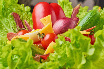 Bouquet with ingredients for healthy nutririon or diet. Lettuce with eggs and fresh vegetables closeup