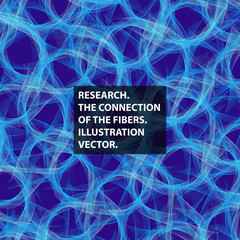 Connective tissue, fiber, abstraction vector