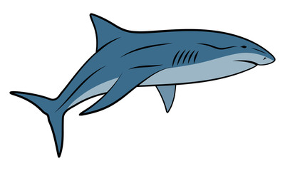 Vector illustration of shark isolated on white background