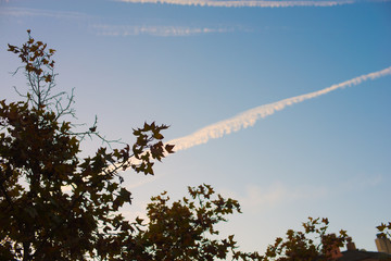 Nature in Barcelona, Spain. Barcelona is known as an Artistic city located in the east coast of Spain..