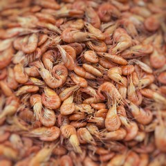 Fresh shrimp at at outdoor seafood market. Selective Focus.