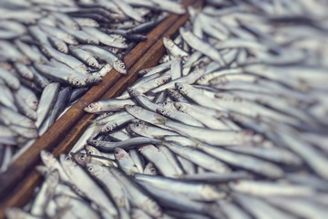 Fresh fish at local food market.Selective Focus.