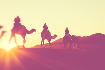 Camel caravan with people going through the sand dunes in the Sahara Desert. Morocco, Africa.