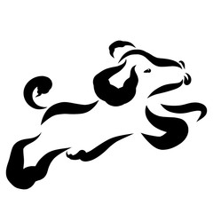 Running cheerful puppy with tongue hanging out