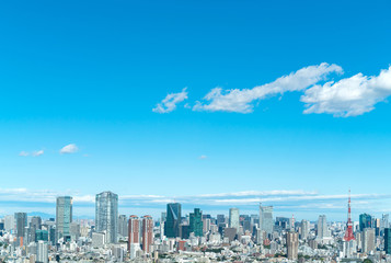 Fototapeta premium 東京風景