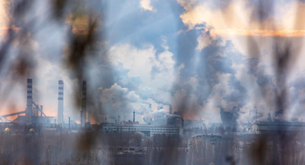 Fototapeta premium Smoke from pipes in a factory behind tree branches