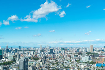 Obraz premium Krajobraz Tokio