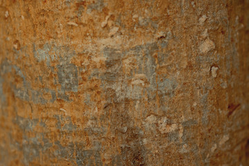 Wood Texture Backgrounds