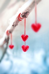 Red hearts on snowy tree branch in winter. Holidays happy valentines day celebration heart love...