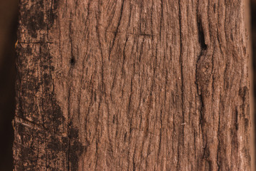 Wood Texture Backgrounds