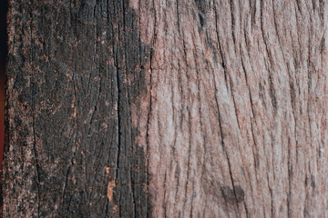 Naklejka premium Wood Texture Backgrounds
