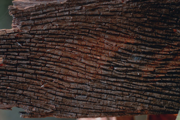 Wood Texture Backgrounds