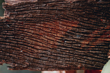 Wood Texture Backgrounds