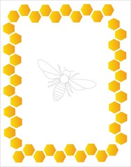 Honey frame from beehive with honeybee on the background