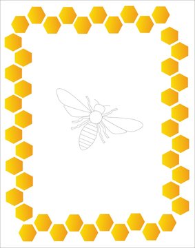 Honey frame from beehive with honeybee on the background