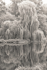 Hatfield House Autumn Walk
