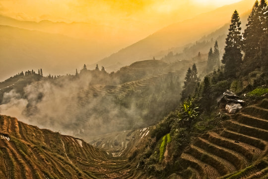 The scarlet sunset. Misty autumn landscape with rice terraces.
